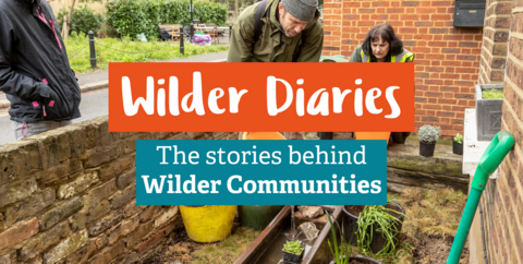 Three people standing around a small container which is being filled with water and aquatic plants in an urban community for wildlife - displays the text 'Wilder Diaries: The stories behind Wilder Communities' over the top