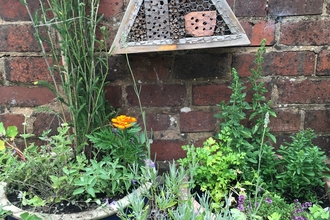 Bug hotel and pot plants in an urban garden