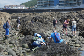 Coastwise volunteers doing Shoresearch survey in North Devon