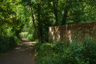 Shaded pathway next to wall and trees at Northbrook Park.
