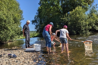 Family dipping nets into a river