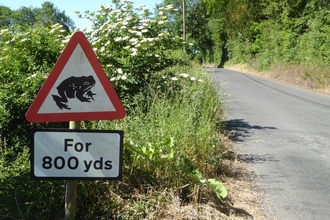 Toads crossing sign in Stalisfield Road by Pam Fray, via geograph.org