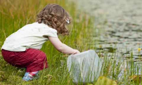 Child pond dipping with a bucket