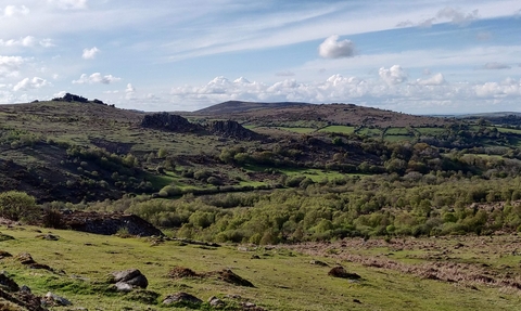 East Dartmoor Landscape