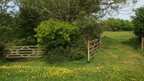 Vealand Farm entrance 