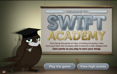 Swift Academy game homepage with swift standing in front of screen 