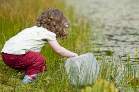 Child pond dipping with a bucket