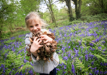 Happy child gathering leaves in a bluebell wood