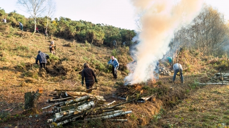 Volunteers clearing scrub vegetation at Teigngrace Meadow