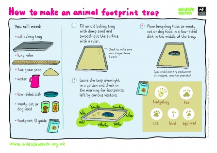 footprint trap