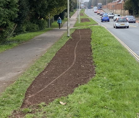 A patch of prepared ground on Topsham Road