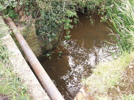 river with pipe above