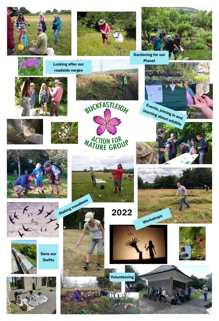 Buckfastleigh Action for Nature Group (BANG) activities