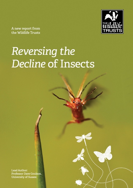 Reversing the decline of insects report 2019 cover image