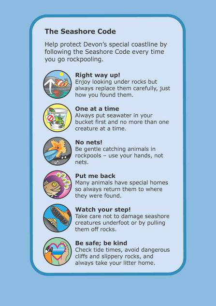 Seashore code with six things you can do to protect Devon's wildlife: put animals right way up, pick up one at a time, no nets, put me back, watch your step, be safe and be kind