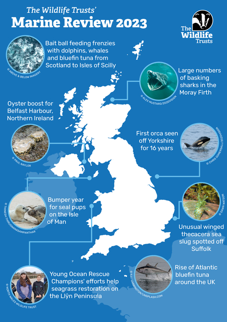 Illustrated map of highlights for The Wildlife Trusts marine review