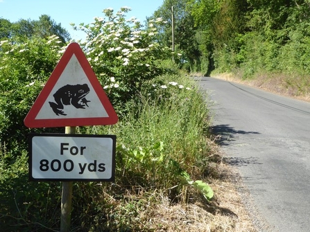 Toads crossing sign in Stalisfield Road by Pam Fray, via geograph.org