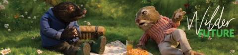 wind in the willows picnic