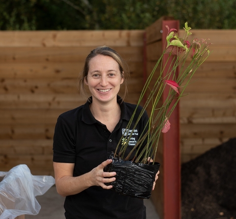 Rosie from Saving Devon's Treescapes holding a group of young trees