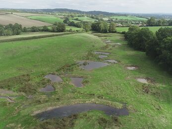 aerial shot of a field full of wet pools