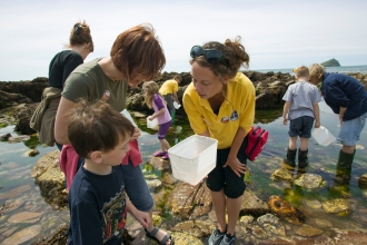 Rockpooling with Wembury Marine Centre volunteers