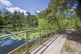 Board walk at Bystock Pools nature reserve
