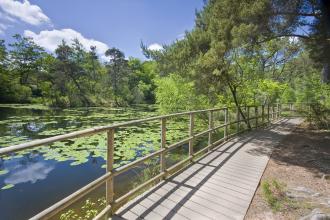 Board walk at Bystock Pools nature reserve 