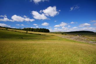 Blue skies at Bellever Moor and Meadows