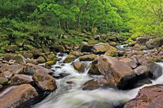 River Dart following through the Dart Valley