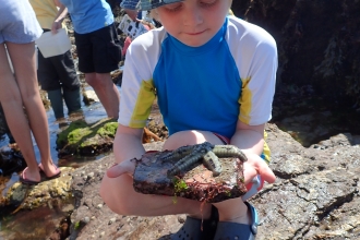 Boy and a spiny starfish at Wembury