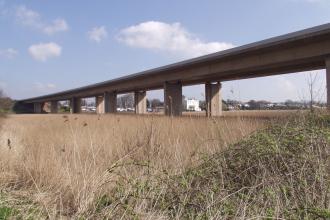 Exe Reed Beds under the bridge