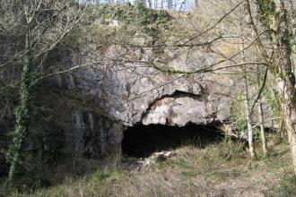 Higher Kiln Quarry