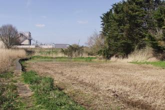 Devon Wildlife Trust's Old Sludge Beds