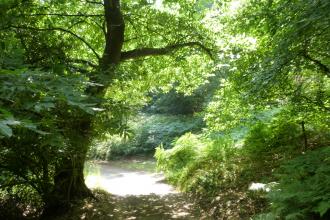 Hawkswood nature reserve 