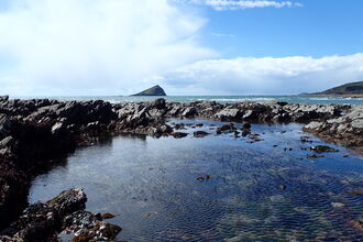 Wembury Rock on Wembury beach