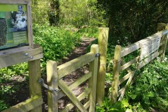 Entrance to Uppacott Wood