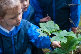 School child examining a leaf