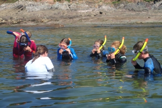 Snorkel safari with children at Wembury