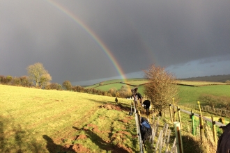 Planting hedgerows for dormice in the Avon Valley