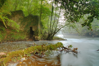 River Torridge at Halsdon nature reserve