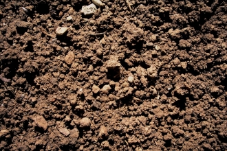 Soil