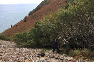 Collecting seed in North Devon