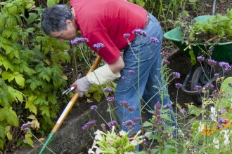 Wildlife gardening with tools and wheelbarrow