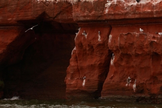 Jurassic Coast Geology