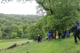 Walkers at Nation Trust Arlington estate