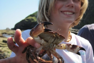 Seaton Jurassic rockpool ramble child with crab