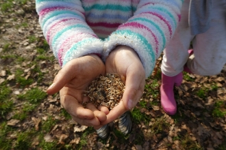 Child's hands holding seeds