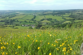 Woodah Farm After Green Haying June 2016