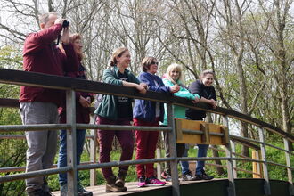 Group of people stand on the bridge to Ludwell valley park 
