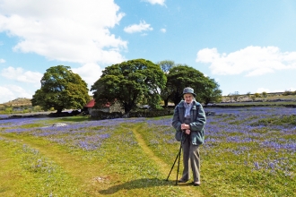 Woman stood in field of bluebells